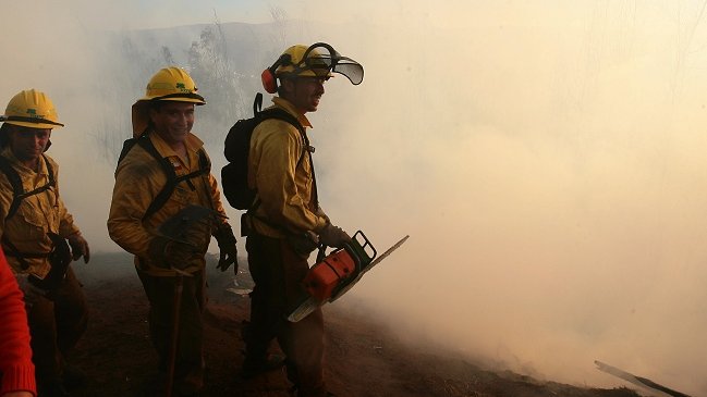 Onemi declaró alerta amarilla en tres provincias del Biobío por incendios forestales