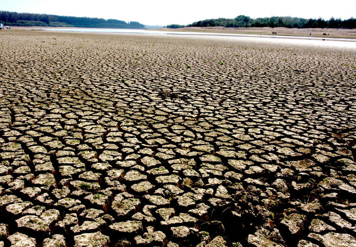 Sequía: Cinco comunas más fueron declaradas como zona de catástrofe en Coquimbo