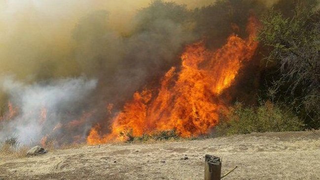 Incendio forestal amenazó a viviendas del sector alto de Peñalolén