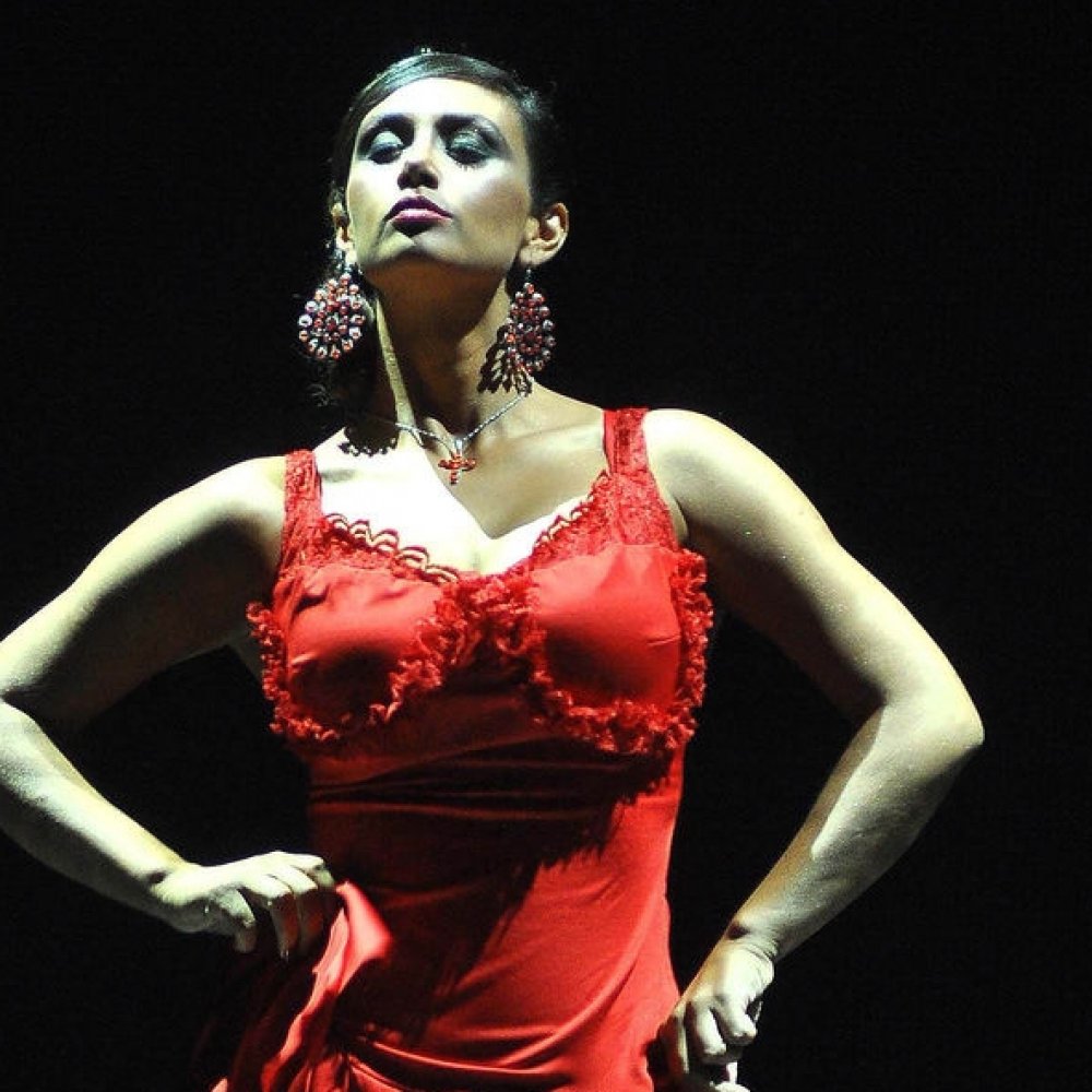 Pamela Díaz restó importancia a campaña para que no anime 