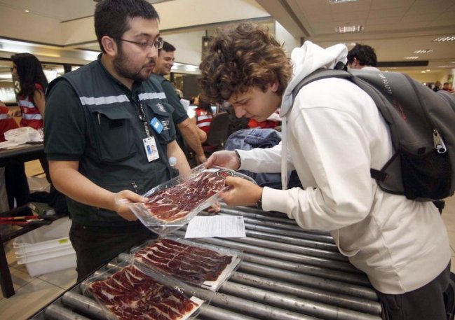 Servicio Agrícola y Ganadero del Maule aumentó fiscalización en la frontera
