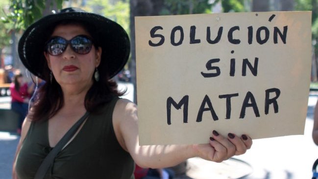 Preocupación causa decreto que permitiría caza de perros salvajes y guanacos