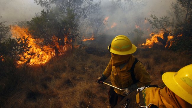 Onemi decretó alerta roja en Quintero y Puchuncaví por incendio forestal