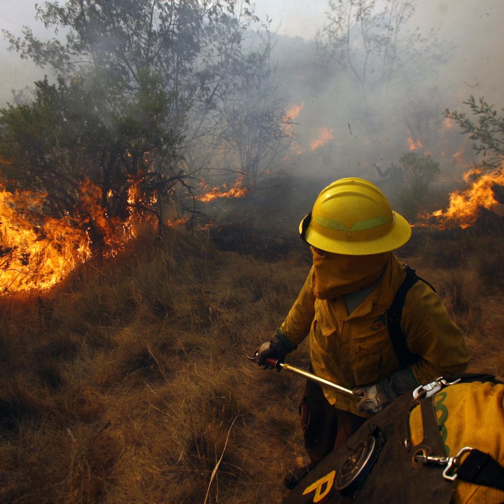 Onemi decretó alerta roja en Quintero y Puchuncaví por incendio forestal