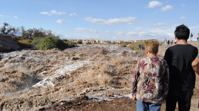 Alcaldesa de San Pedro de Atacama: 