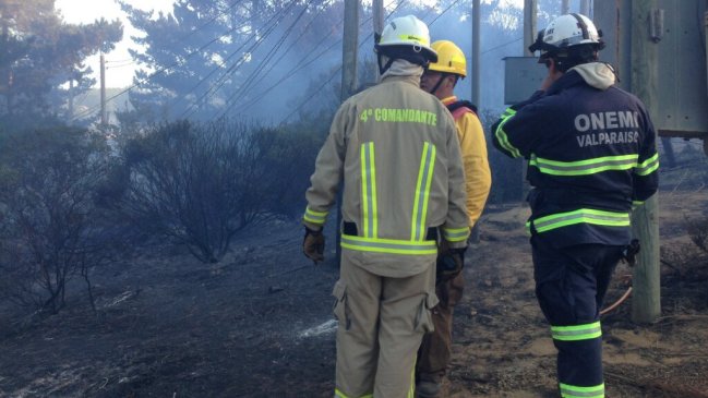 Incendio forestal afectó localidad de Laguna Verde en Valparaíso