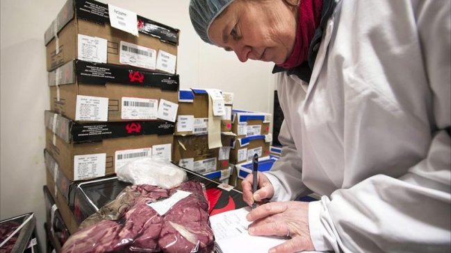 Carne de caballo ilegal llegó a establecimientos belgas