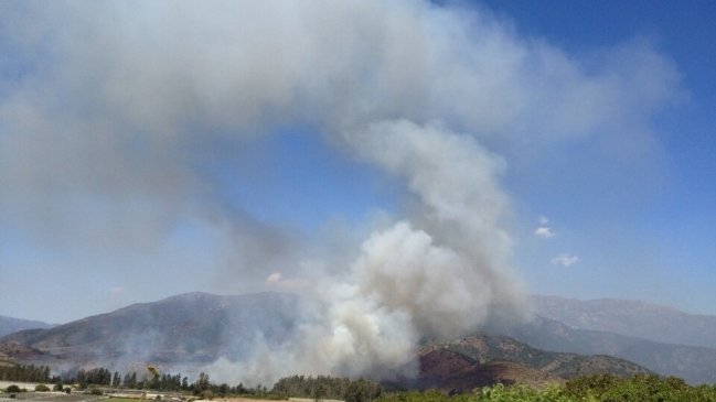Onemi decretó alerta roja por incendio forestal en Limache
