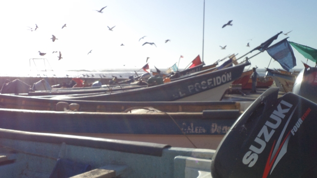 El ambicioso proyecto que busca levantar El Maule a tres años del 27-F