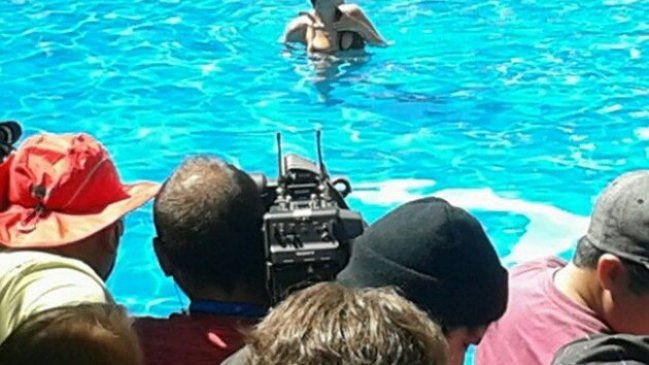 La quinta noche de Viña 2013