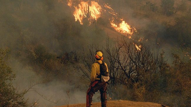 Incendio forestal destruyó una casa y un taller en Limache