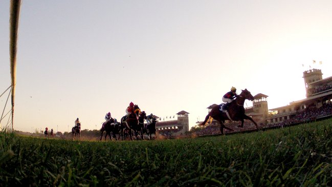 Criadero sufrió robo de diez caballos pura sangre