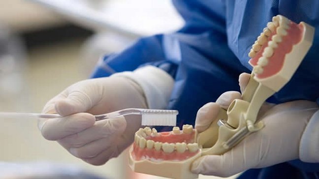 Científicos lograron crear un diente a partir de células humanas y de ratón