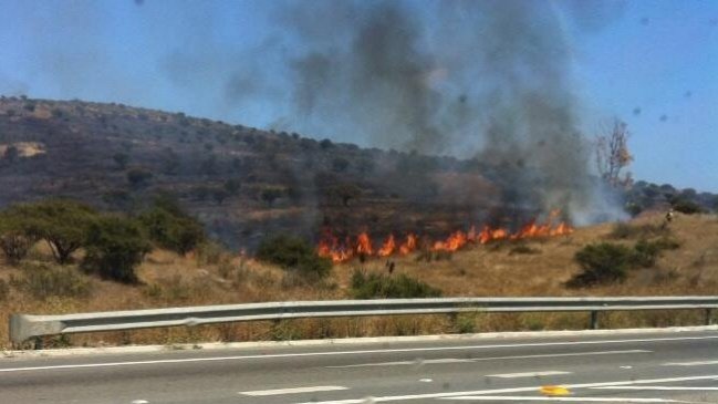 Onemi declaró alerta roja en Limache por incendio de pastizales