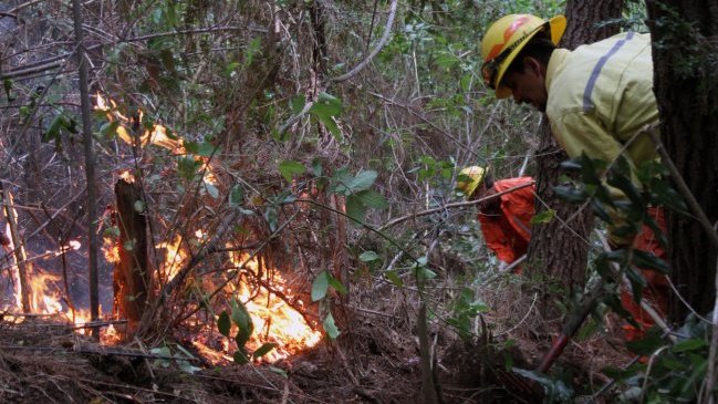 Onemi declaró alerta roja comunal por incendio forestal en Santa Cruz