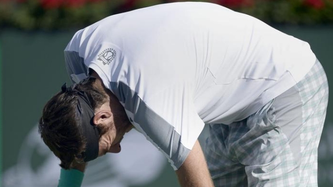 Juan Martín del Potro 