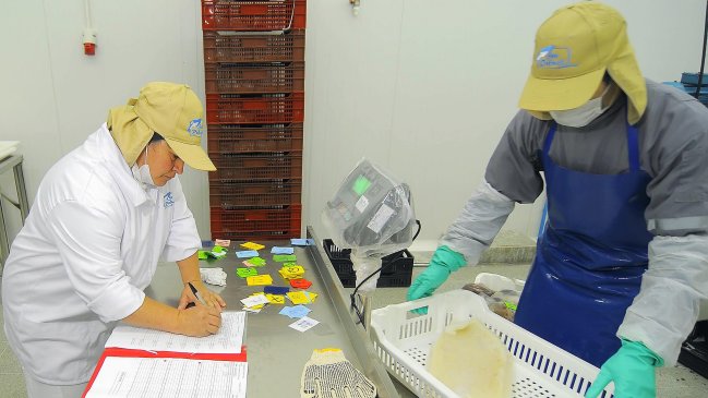 INE: Desempleo en trimestre diciembre-febrero fue 6,2 por ciento