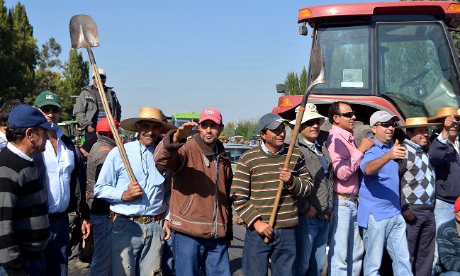 Agricultores maulinos evalúan querellarse contra Carabineros por desalojo
