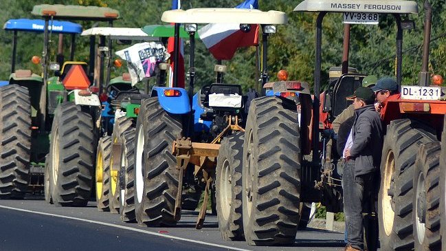 Agricultores del Maule: Defenderemos el maíz