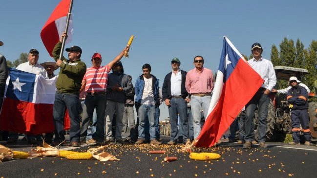 Productores manifestaron su preocupación por salvaguardia aplicada al maíz