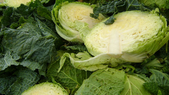 Chef: Recetario de Lavín es una bofetada a la gente humilde