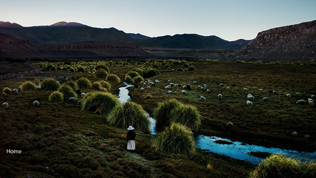 Chileno fue reconocido como Fotógrafo del Año