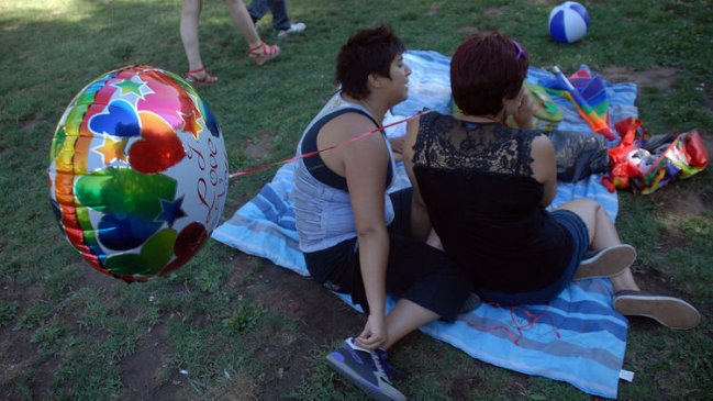 Movilh emplazó a Golborne para que se pronuncie sobre polémico proyecto UDI