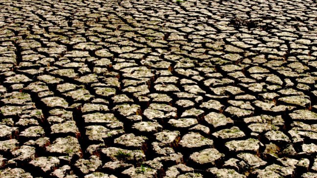 Intendente: Sequía en Coquimbo es la más dura de los últimos cinco años