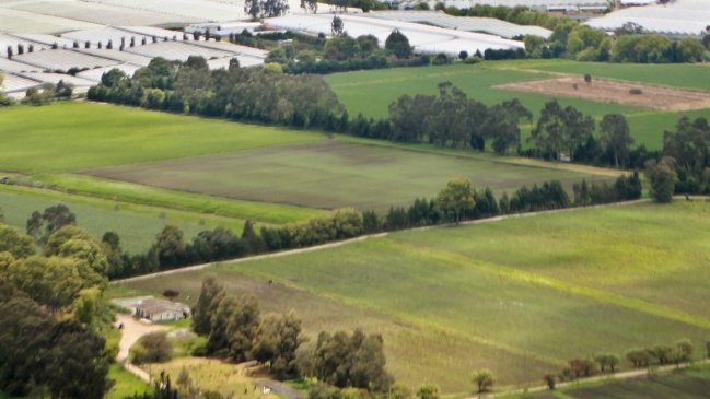 Autoridades colombianas ocuparon seis fincas de socio de Pablo Escobar