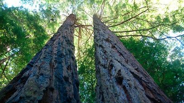 Este lunes se celebra el Día Mundial de la Tierra