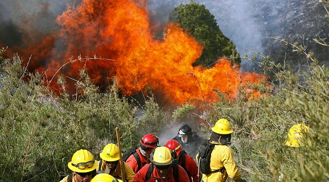 Maule: Incendios quemaron 8.000 hectáreas menos que en temporada 2012