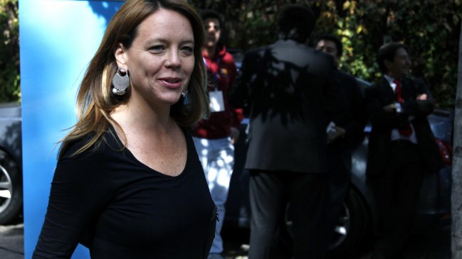 Von Baer explicó falta de primarias: Quedó mal legislado un punto