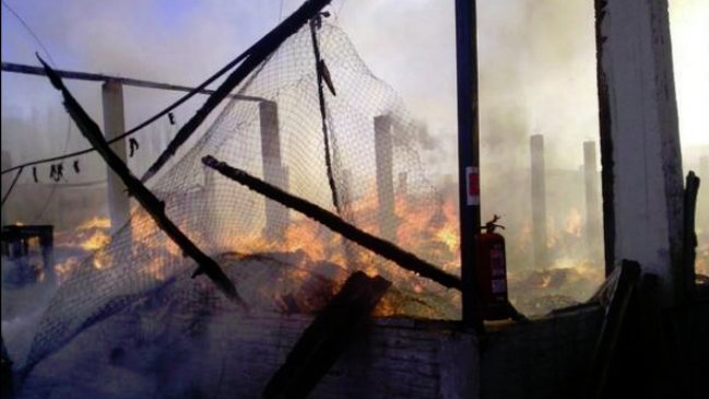 Incendio afecta empresa de frutas en Coltauco