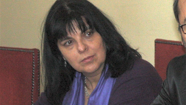 Fundación Terram: Bajar 20 por ciento de emisiones era una declaración bastante comunicacional