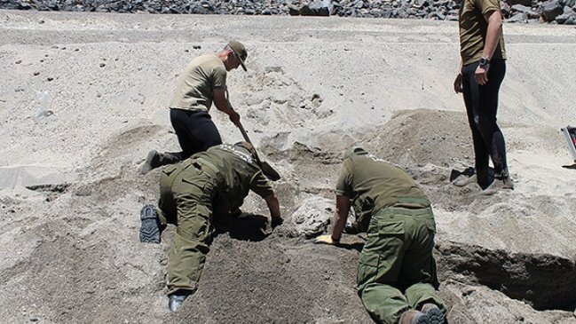 Labocar identificó restos óseos hallados en precordillera del Maule