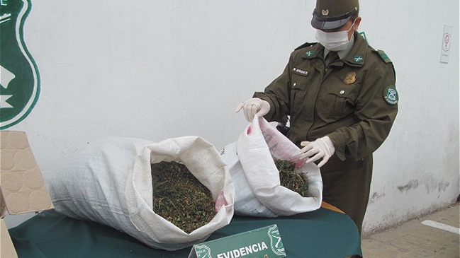 Joven fue detenido por cocinar marihuana en edificio