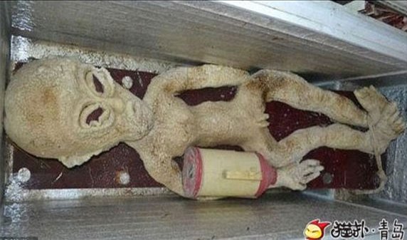 Campesino chino fingió tener un extraterrestre congelado en su casa
