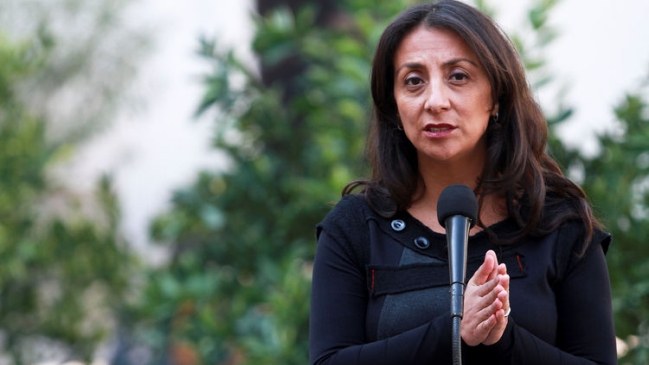 Gobierno espera tener franja de primarias 