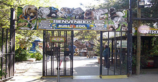 Robaron instrumentos científicos de proyecto de la Unab y el Buin Zoo