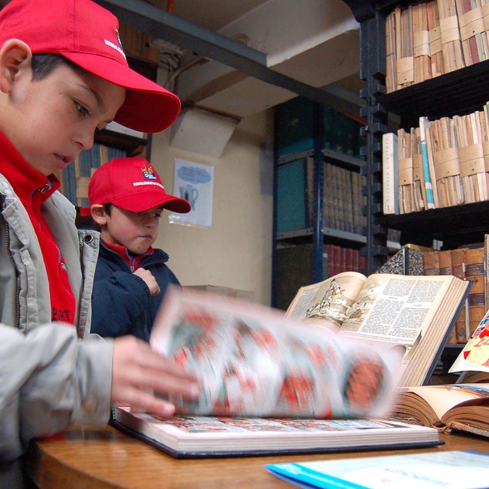 Abogada: Las medidas adoptadas por Sename ante denuncias son erradas