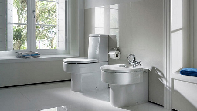 ONU estableció el 19 de noviembre como Día Mundial del Inodoro