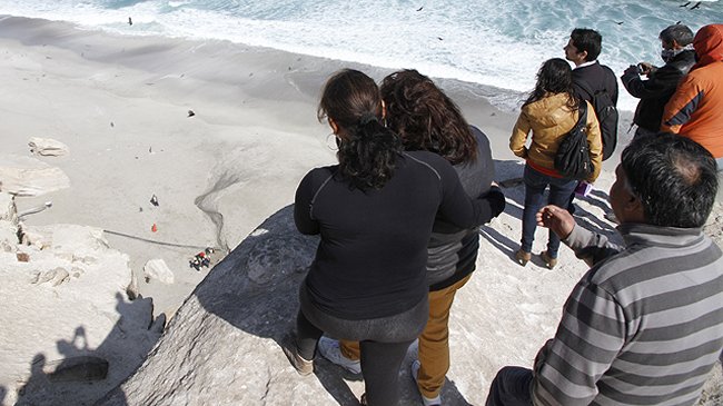 Cadáver apareció enterrado en una playa de Antofagasta