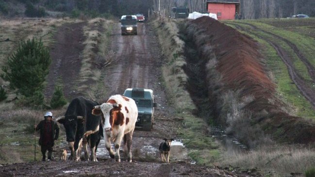 Dos carabineros resultaron heridos durante ataque en el Alto Biobío