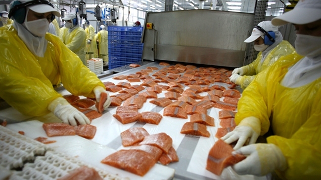 Autoridades de Chile se reunieron con la FDA por salmones contaminados