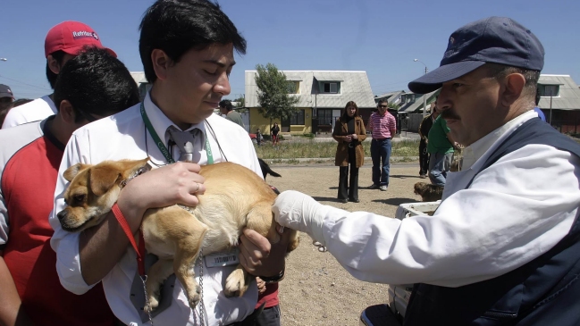 Médico: Mortalidad asociada a la rabia es altísima