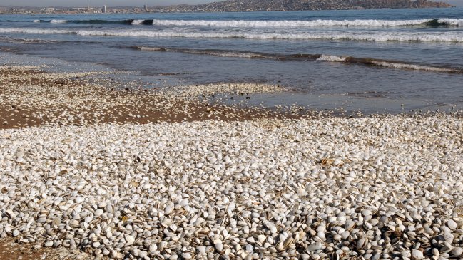 Agrupaciones gremiales denunciaron envenenamiento de río Mataquito