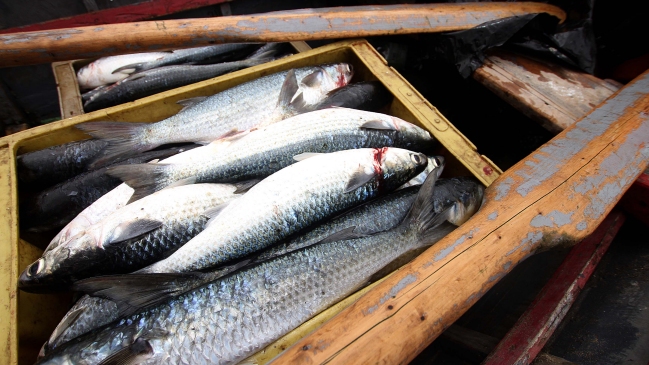 Embarcación peruana fue detenida en pesca ilegal en aguas ecuatorianas