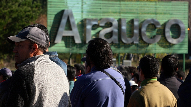 Celulosa Arauco acatará fallo que la condenó por desastre ambiental en río Cruces