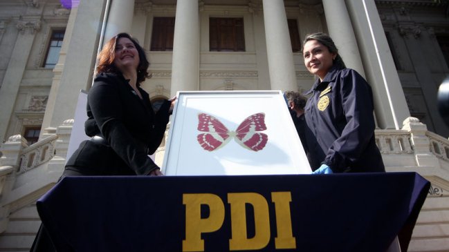 Luego de once días cerrado este martes abre sus puertas el Museo de Arte Contemporáneo