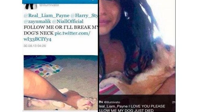 Fan mató a su perro porque One Direction no la siguió en Twitter